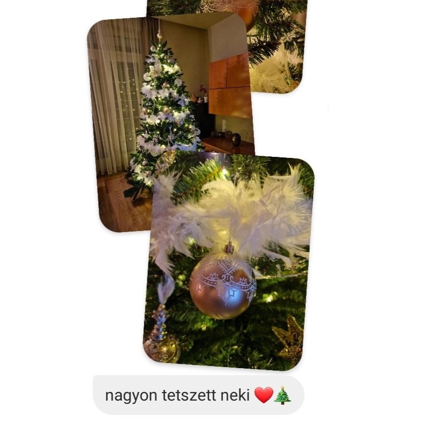 Screenshot_20240620-091315_Instagram